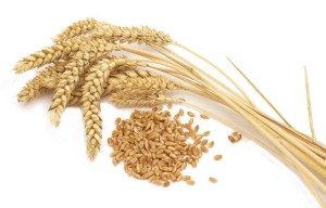 Durumhvete brukes i bakeoppskrifter sammen med vanlig hvete. Det gir brødet en ekstra spiss.