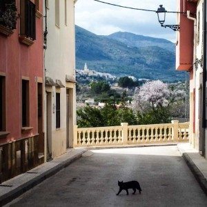 16613293363_584862d52d_o