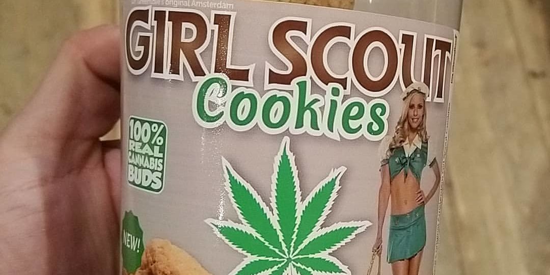 Dr. Greenlove_canabis cookies