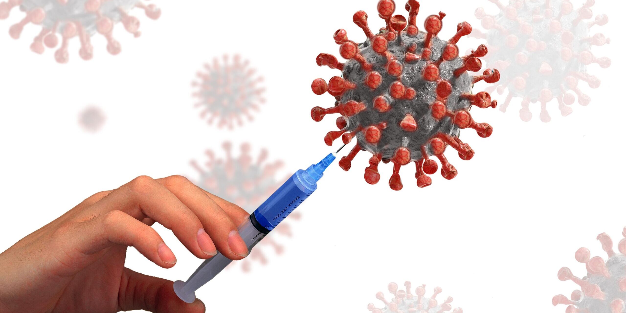 virus-5768628