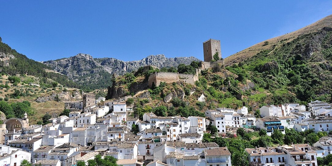 1084px-Cazorla_-_008_(30701366896)