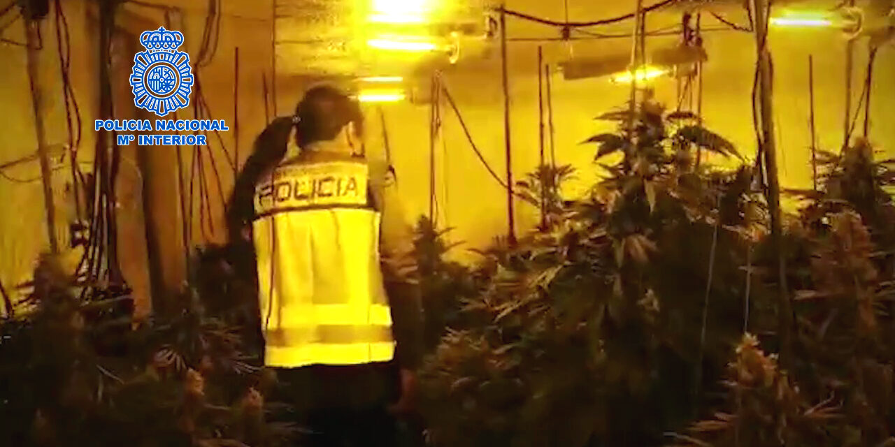Marihuana Benidorm