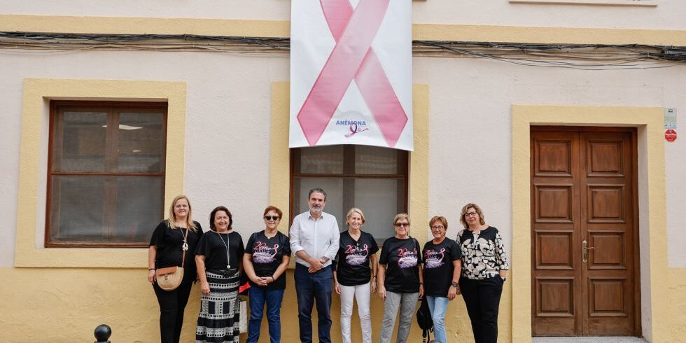 Sanidad_lazo-rosa-anemona-02-980×653