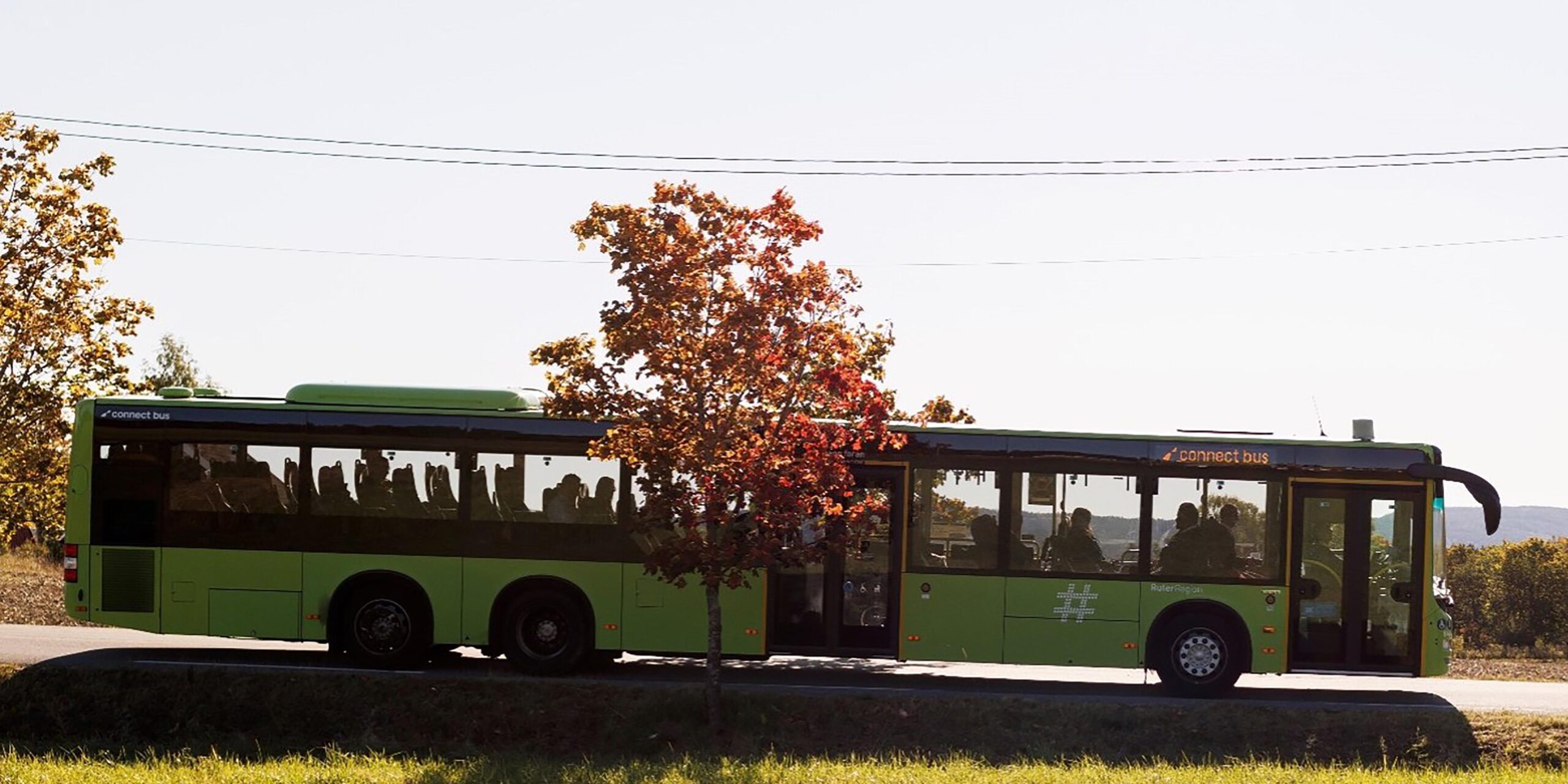 buss
