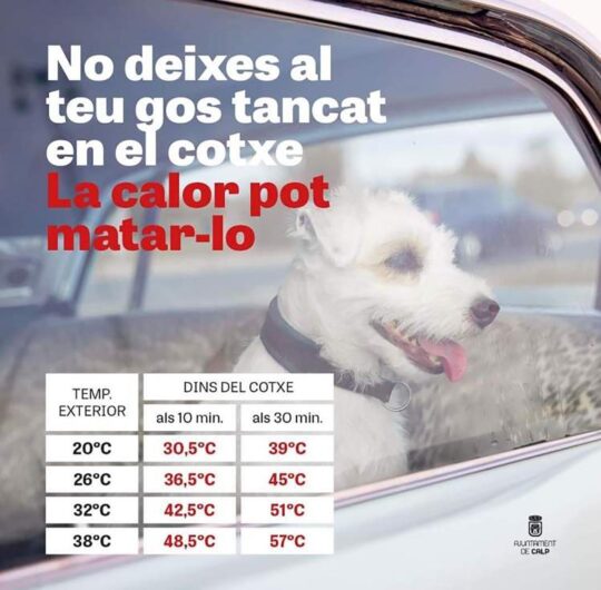 8255_cd4b3460-b1e4-4e7e-8c6c-09646dda3111