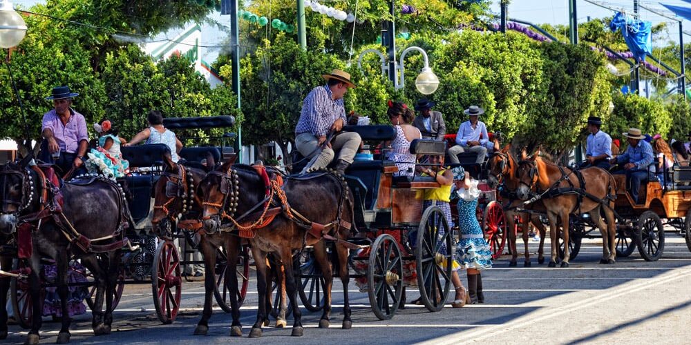 Horse carriages