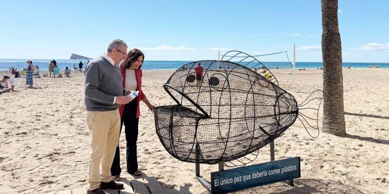 20250417_Playas y MMAA_pez 0