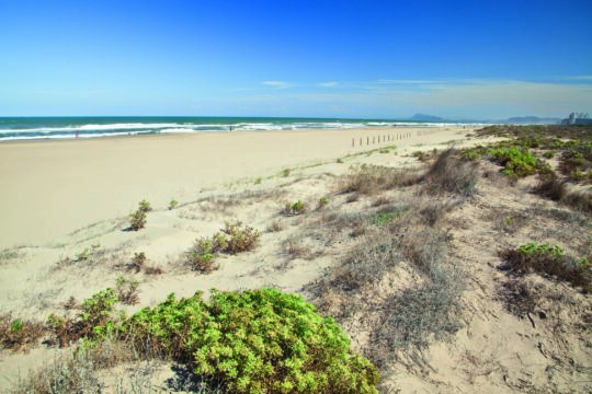 Gandia_Playa_Auir2