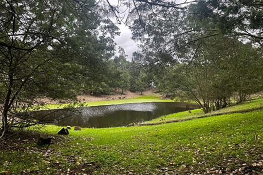 290825-ayudas-donana-ambiental-agraria-forestal