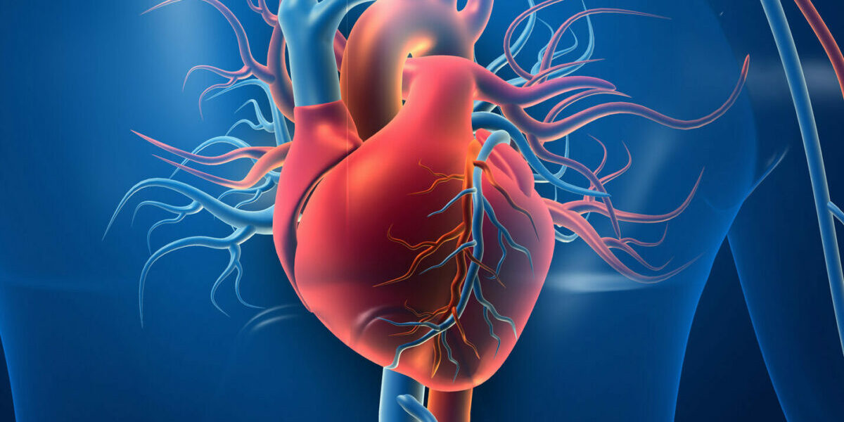 CARDIOVASCULAR DISEASES