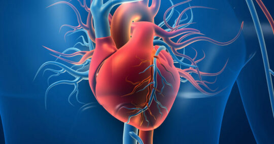CARDIOVASCULAR DISEASES
